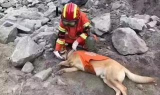 2017年九寨沟地震后四川最大地震