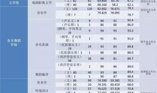 河南师范大学艺术类分数线