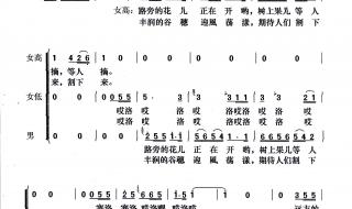 远方的客人请你留下来简谱