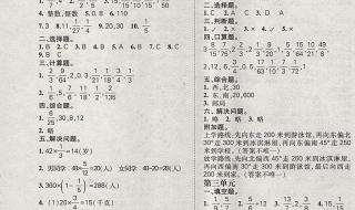 六年级上册数学期末