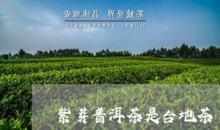 普洱茶是一种什么茶