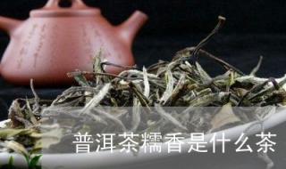 普洱茶是一种什么茶