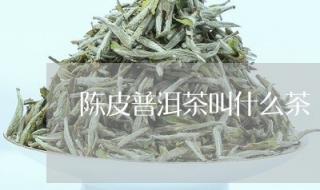 普洱茶是一种什么茶