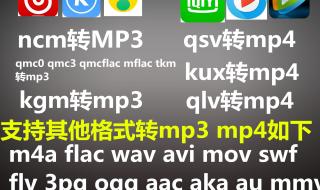 mp4视频格式转换器